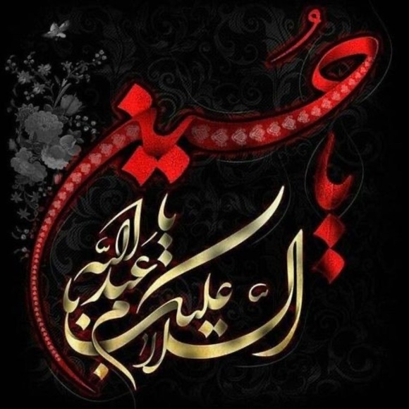 Meet your Posher, Qudsiya - Picture 1 of 1